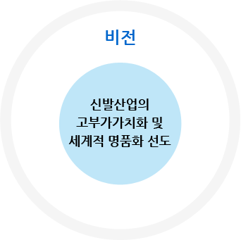 비전- 신발산업의 고부가가치화 및 세계적 명품화 선도